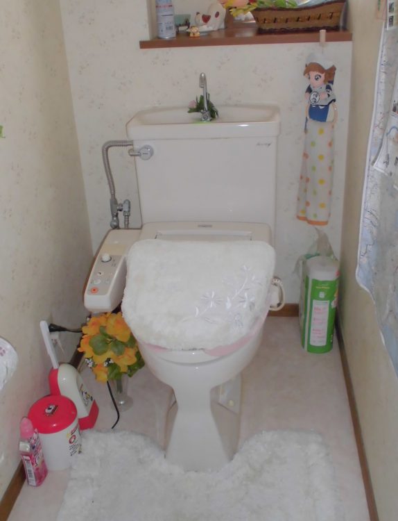 施工前のトイレの写真